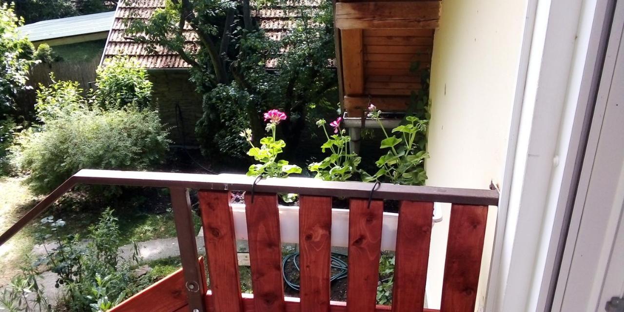 Vadszolo Vendeghaz Apartment Cak Exterior photo